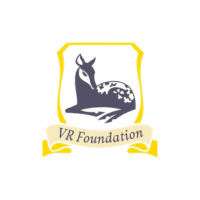 vr foundation
